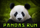 Panda's Run