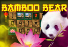 Bamboo Bear