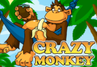 Crazy Monkey