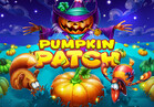 Pumpkin Patch