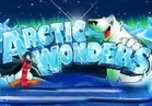 Arctic Wonders