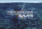 Treasure Diver