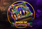 Book Of Panther