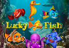 Lucky Fish