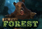 In The Forest