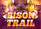 Bison Trail