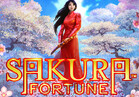 Sakura Fortune
