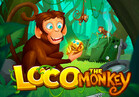 Loco the Monkey