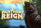 Panther's Reign