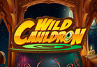 Wild Cauldron