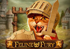 Feline Fury