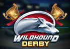 Wildhound Derby