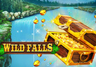 Wild Falls