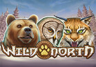 Wild North
