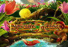 Enchanted Meadow