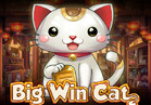Big Win Cat