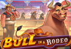 Bull in a Rodeo