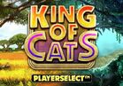 King of Cats