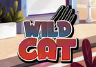 Wild Cat