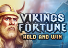 Vikings Fortune: Hold and Win
