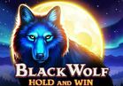 Black Wolf