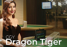 CGY Dragon Tiger N20