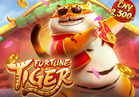 Fortune Tiger
