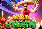 Wild Bandito