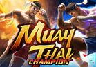 Muay Thai Champion