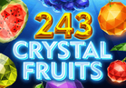 243 Crystal Fruits