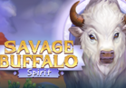 Savage Buffalo Spirit