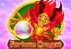 Fortune Dragon