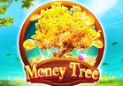 Money Tree