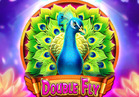 Double Fly