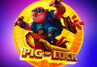 Pig Of Luck