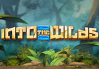 Into The Wilds
