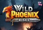 Wild Phoenix Rises