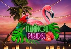 Flamingo Paradise