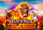 Buffalo on Fire