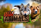 Wild Animals