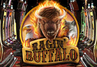 Ragin' Buffalo