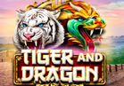 Tiger and Dragon