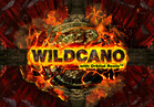 Wildcano