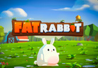 Fat Rabbit
