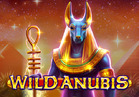 Wild Anubis