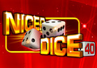 Nicer Dice 40