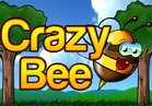 Crazy Bee