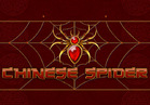 Chinese Spider