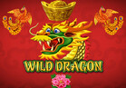 Wild Dragon