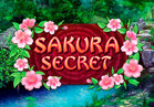 Sakura Secret